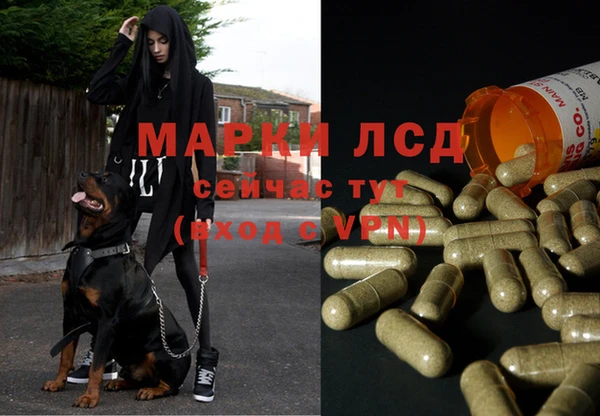 гашик Абаза