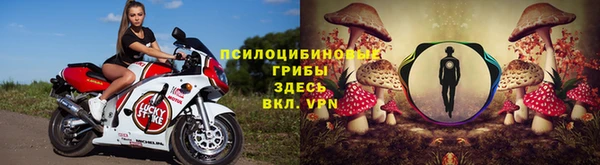 гашик Абаза